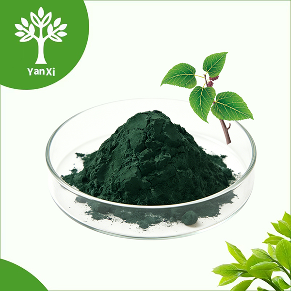 Chlorophyll Powder